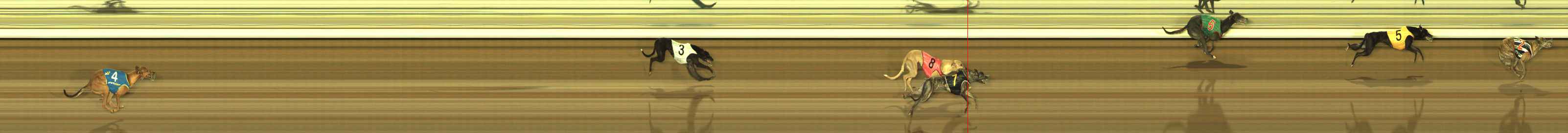 Race result finish photo